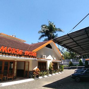 Morse Guesthouse Syariah